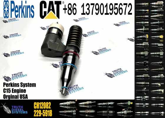 CAT Injector China New High Quality CH12082 229-5919 Diesel Fuel Injector for Truck Engine for with 2206A and 2206C Engines