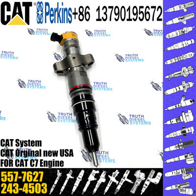 C7 C9 Fuel Injector 387-9427 557-7627 293-4071 295-1411 293-4573 10R-4763 20R-8059 20R-8057 For Caterpillar Excavator
