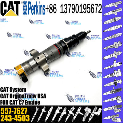 C7 C9 Fuel Injector 387-9427 557-7627 293-4071 295-1411 293-4573 10R-4763 20R-8059 20R-8057 For Caterpillar Excavator