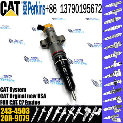 C7 Common Rail Injector 243-4502 10R-4761 243-4503 10R-4762 20R-8066 387-9441 20R-8069 295-1409 For C-A-T engine