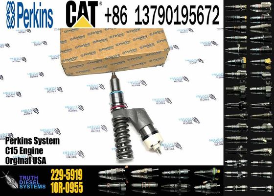 Excavator Parts 229-5919 Fuel Injector 229-5919 10R-1000 10R-1000 for CAT C18 C15 C12 C13 3406E Series