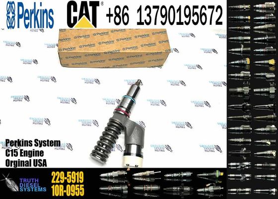 Excavator Parts 229-5919 Fuel Injector 229-5919 10R-1000 10R-1000 for CAT C18 C15 C12 C13 3406E Series