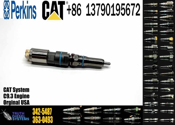 Common Rail Fuel Injector 304-3637 324-5467 342-5487
