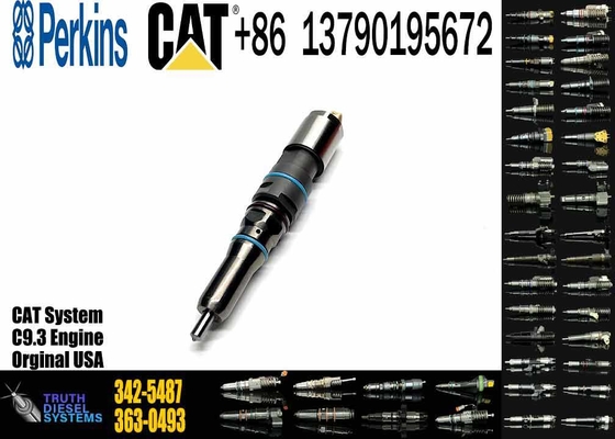 Common Rail Fuel Injector 304-3637 324-5467 342-5487