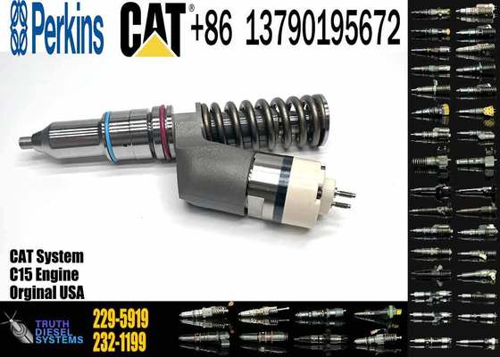 10R-1000 10R1000 229-5919 Fuel Injector for Caterpillar CAT