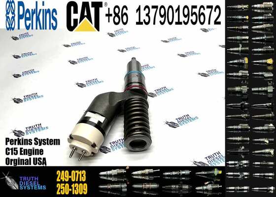 Excavator Engine Parts Fuel Injector 249-0707 249-0708 2490708 249-0712 249-0713 249-0746 250-1302 250-1303 250-1304 250-1306