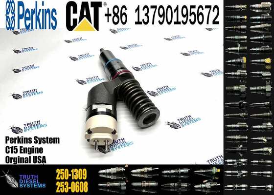 High Quality Diesel Diesel Fuel Injector 250-1309 2501309 10R-3258 10R3258 for C13 Excavator Parts Engine