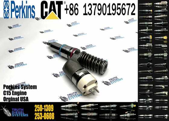 High Quality Diesel Diesel Fuel Injector 250-1309 2501309 10R-3258 10R3258 for C13 Excavator Parts Engine