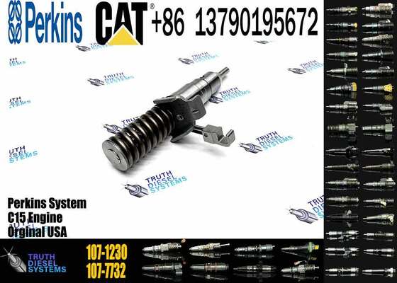 Direct Supply Fuel Injector Assembly 107-1230 127-8216 1071230 1278216 More