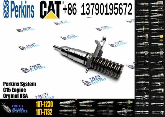 Direct Supply Fuel Injector Assembly 107-1230 127-8216 1071230 1278216 More