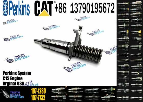Direct Supply Fuel Injector Assembly 107-1230 127-8216 1071230 1278216 More