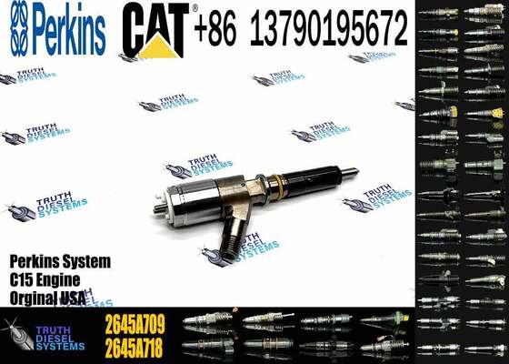 Common Rail Diesel Fuel Injectors 2645A709 2645A743 2645A745 2645A746 2645A747 for CAT C6.6 Engine 323D Excavator