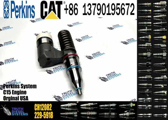 CAT Injector China New High Quality CH12082 229-5919 Diesel Fuel Injector for Truck Engine for with 2206A and 2206C Engines