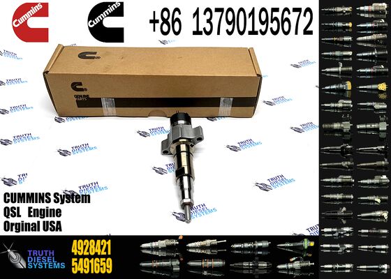 4928421 4359204 Engine Spare Parts QSC8.3 Diesel Fuel Injector