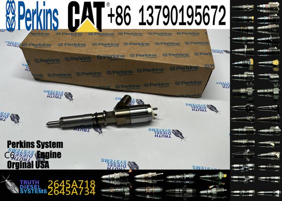 Excavator Parts Suppliers Excavator Injector 2645A749 2645A719 2645A718 2645A751 2645A746 2645A745 for C6.6 Cat Engine